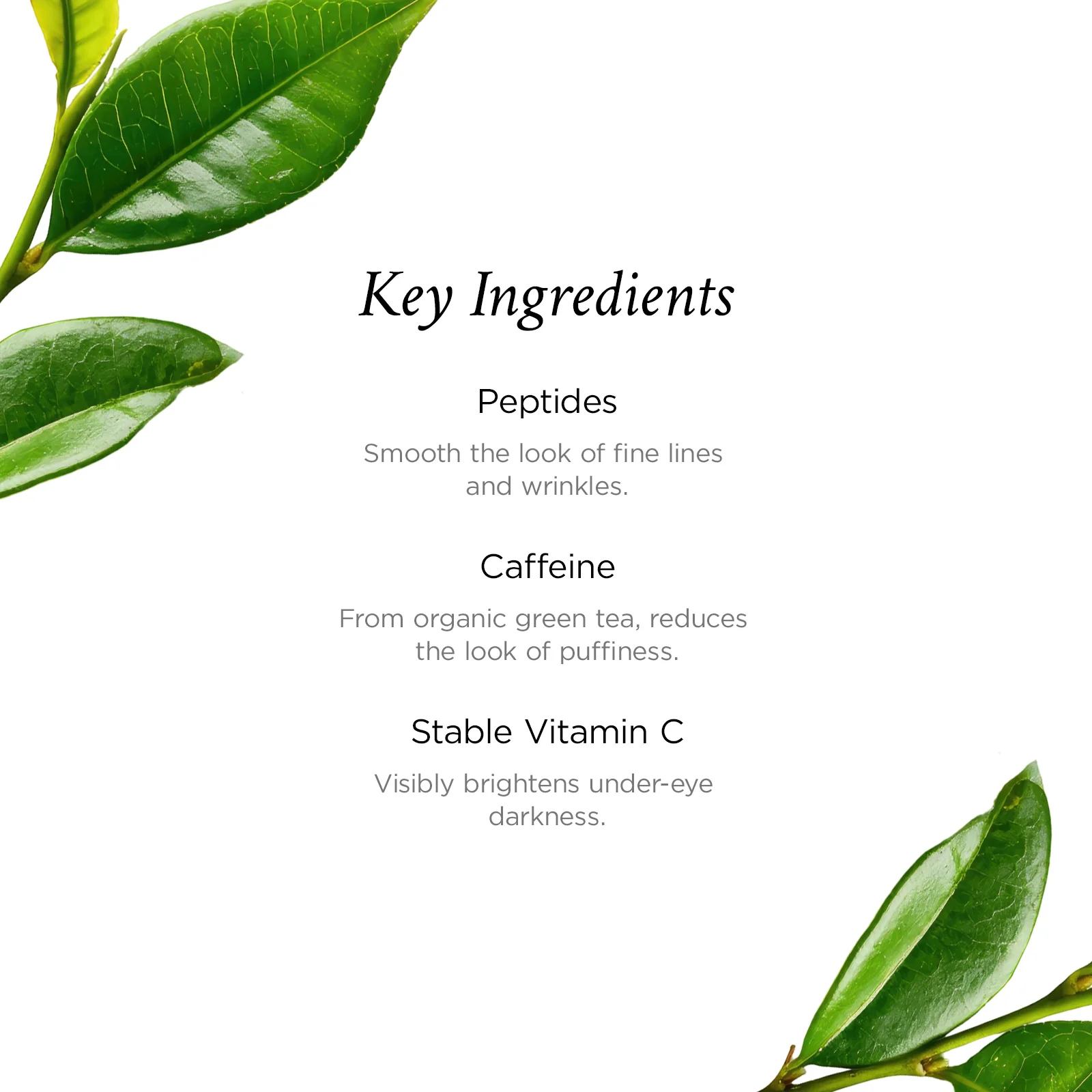Powerlight® Eye Cream - Image 4